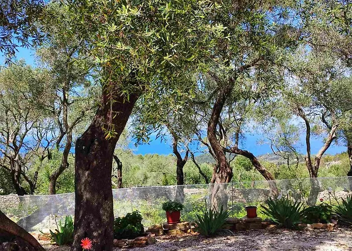 Villa Olive Garden, Kastanida - Paxoi