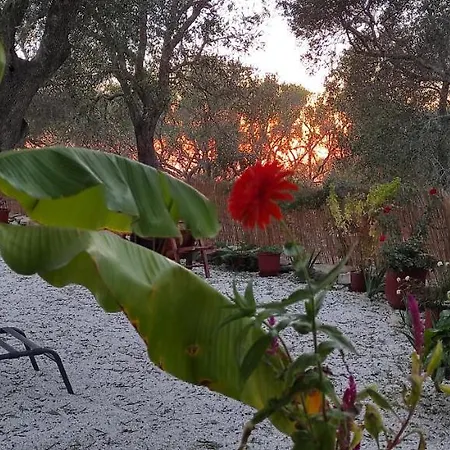 Villa Olive Garden, Kastanida - Paxoi Gaios Exterior foto