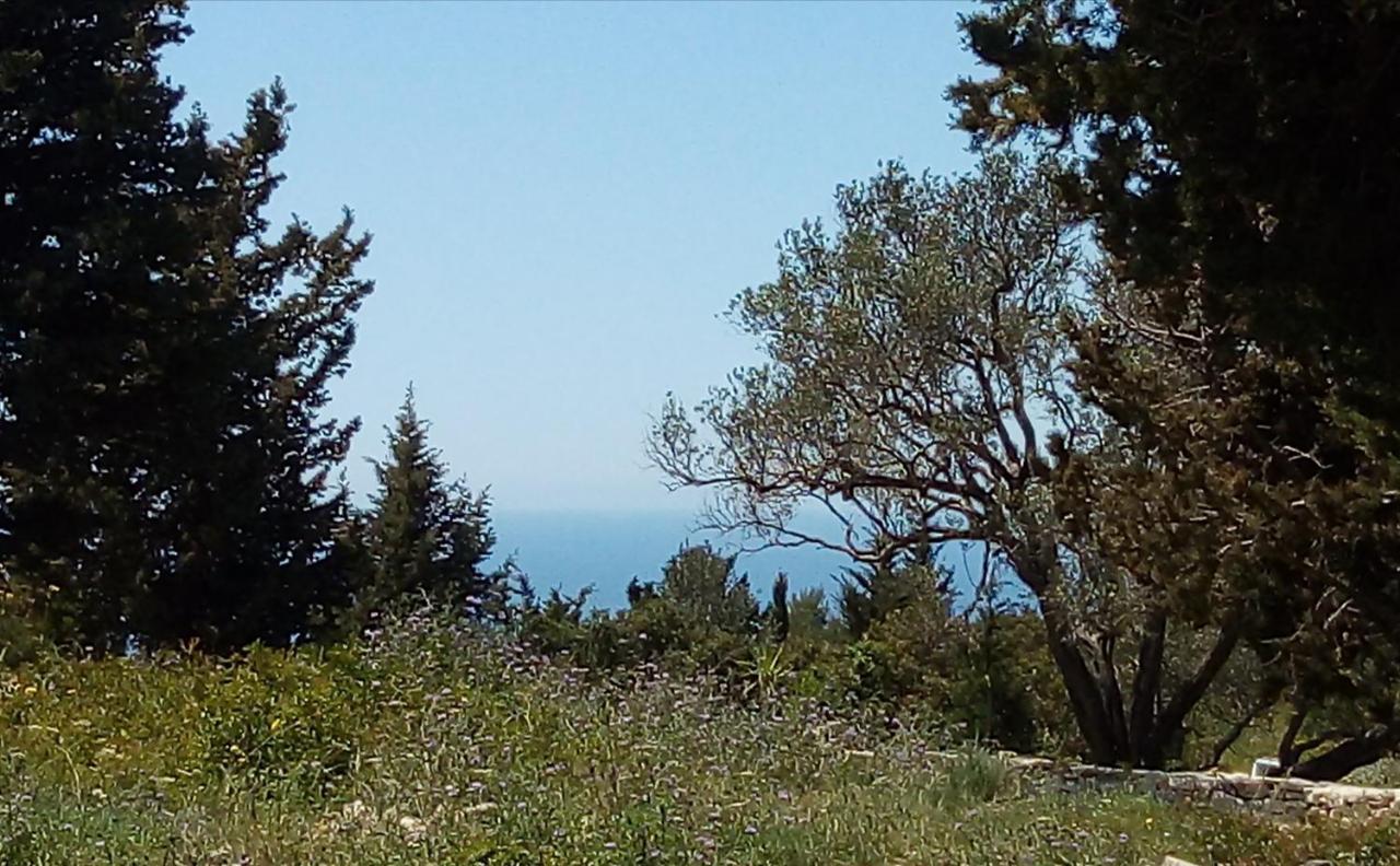 Olive Garden, Kastanida - Paxoi *