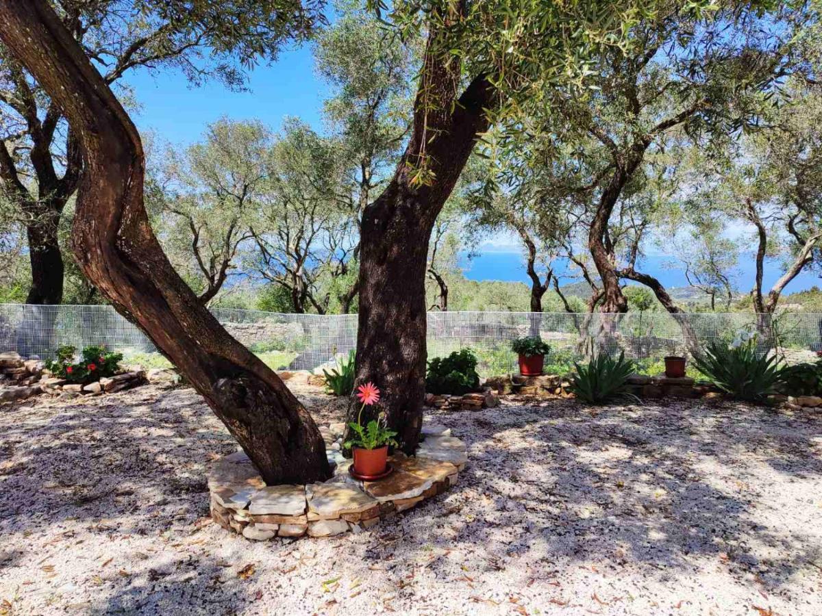 Olive Garden, Kastanida - Paxoi * Gaios